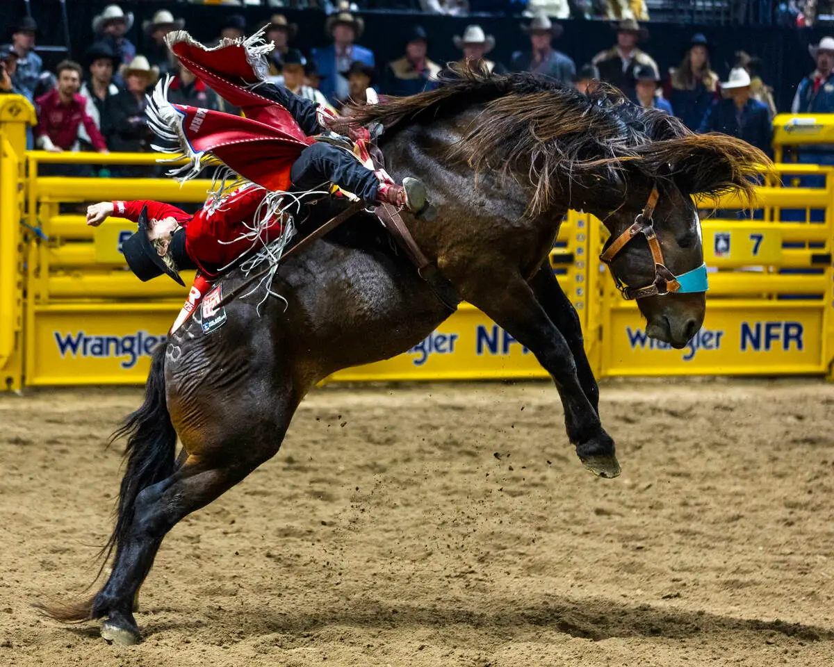 Bareback rider spurring a bucking horse out of the chute under NFR arena lights